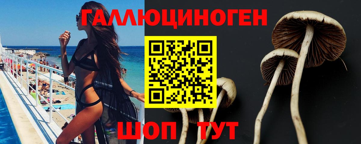 Петрозаводск  Галлюциногенные грибы мухоморы  Вход с VPN 