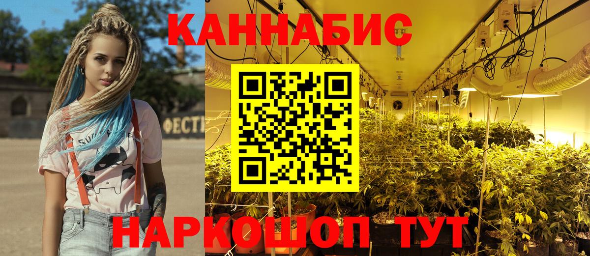 Каннабис сатива Петрозаводск
